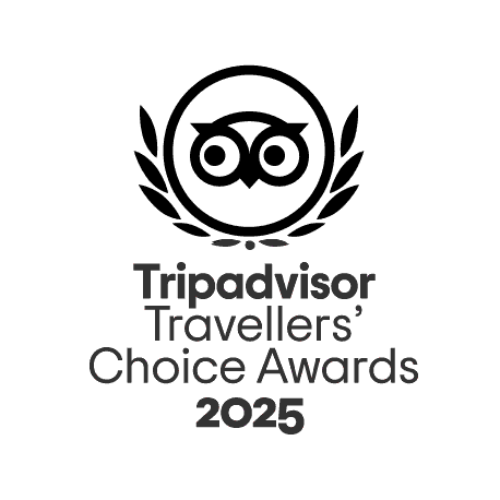 Tripadvisor Travellers' Choice Awards logo 2025 with owl icon.